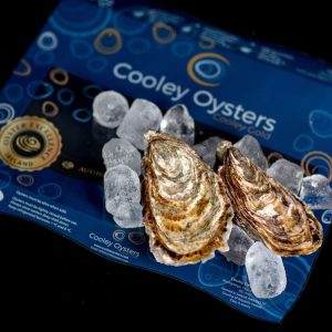 Cooley Babe Oysters