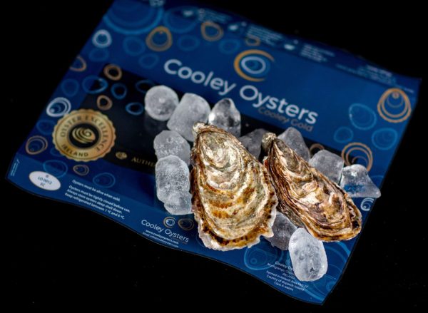 Cooley Babe Oysters