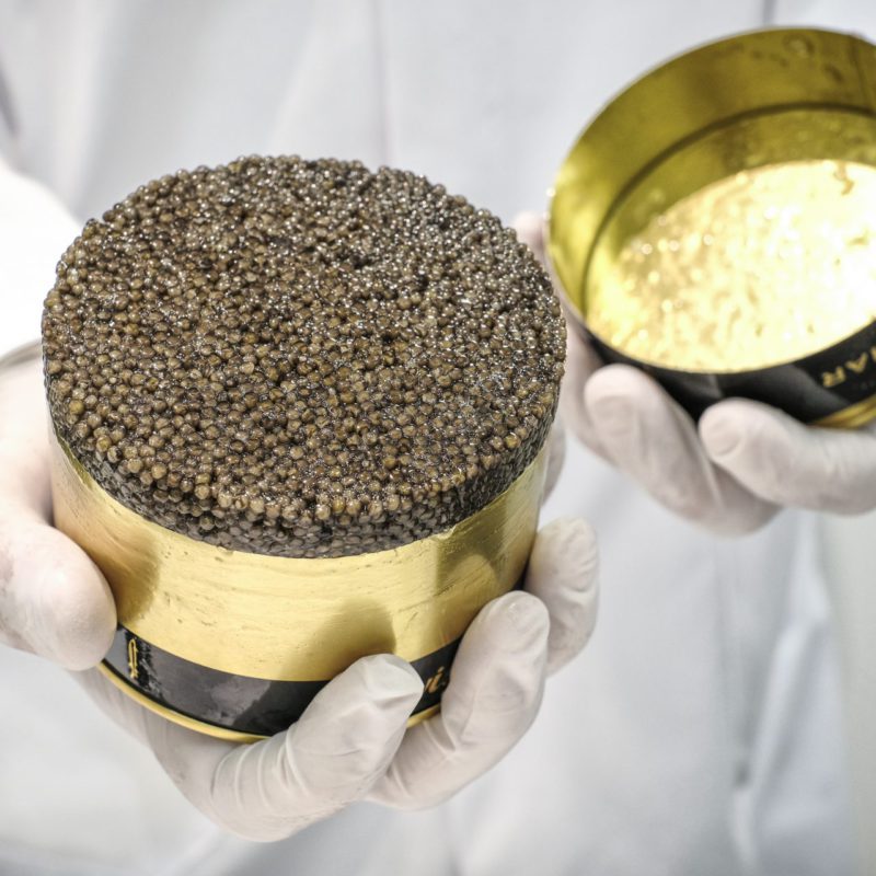 Caviar - Imperial Heritage - Image 4