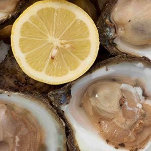 Kelly's Native Oysters (Ostrea Edulis) 1 dozen