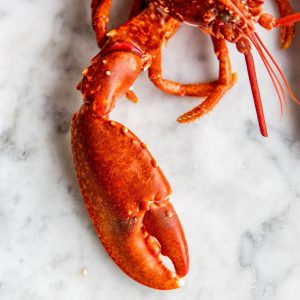 Whole Cooked Lambay  Lobster