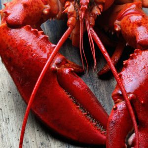 Christmas Eve Lobster Thermidor