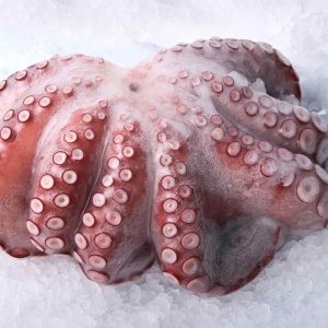 Whole Octopus